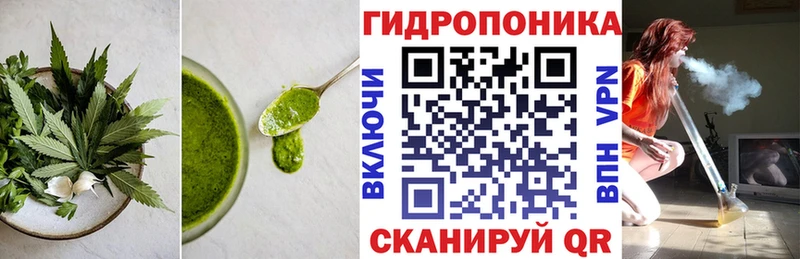 купить   Струнино  Canna-Cookies конопля 