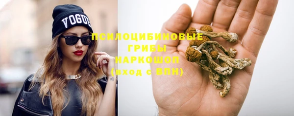 PSILOCYBIN Абдулино
