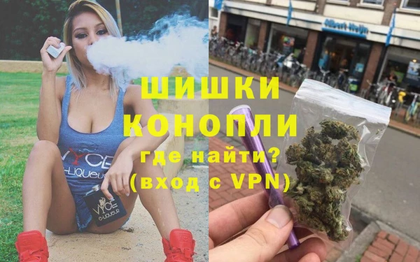 PSILOCYBIN Абдулино