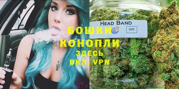 PSILOCYBIN Абдулино