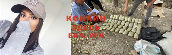 PSILOCYBIN Абдулино
